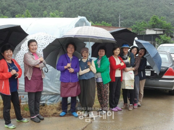 서원1리 밤원마을 부녀회원들 모습
