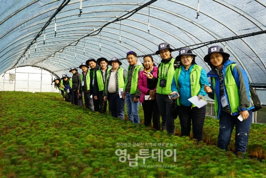 경북 봉화 춘양양묘사업소를 방문한 몽골 산림공무원들