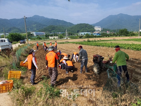 칠곡소방서 북삼 의용소방대원, 농촌 일손 돕기 봉사활동