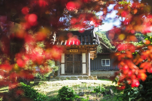 제1회 농촌체험마을 공모전 사진부분 대상작 (차윤애 `성황당`)