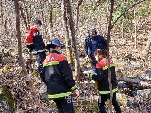 남부산림청, 국유임산물 수액 양여 채취지 현장 합동점검
