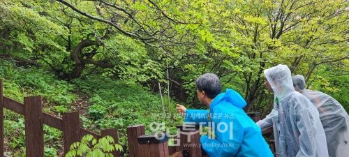 남부지방산림청창 현장점검 광경
