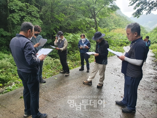 울릉도 자연환경보전림 기능 증진을 위한 현장토론회(울릉.서.태하)