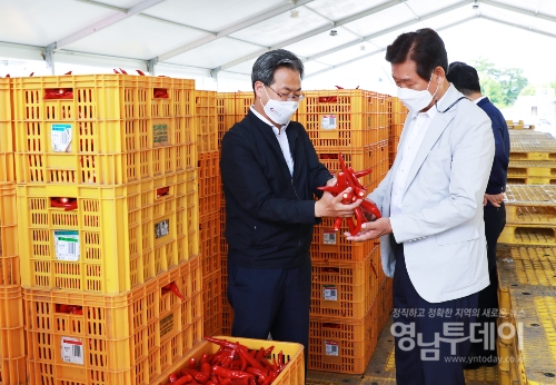 영양군 판로걱정 없는 홍고추 수매사업 큰 호응