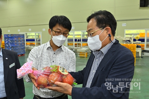 농산물종합산지유통센터 선별과정을 거쳐 포장된 봉화사과를 보고 있는 엄태항 봉화군수