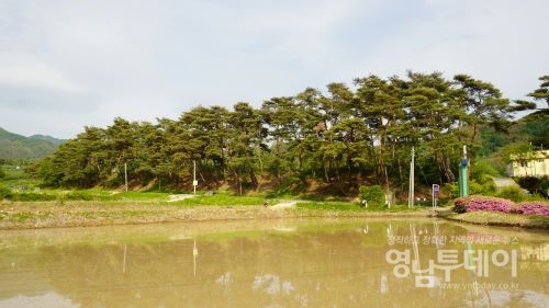 봉화 물야초등학교 명상숲
